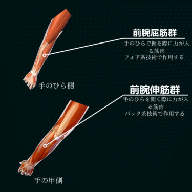 【卓球向け前腕トレ】細かい技術のレベルアップにオススメな前腕のトレーニングを解説！