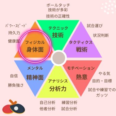 【身体面編】卓球のパフォーマンスを上げる3つの要素を解説！単なる筋トレだけでは無い⁈